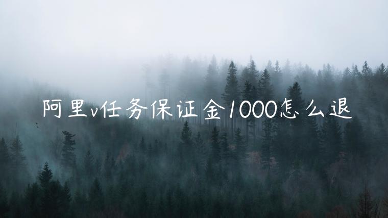 阿里v任務(wù)保證金1000怎么退